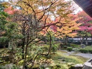 泉涌寺