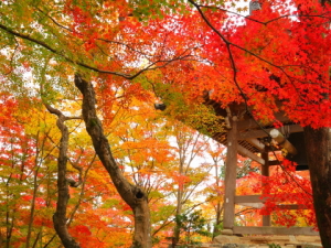 常寂光寺