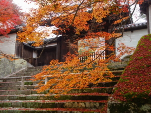 曼珠院