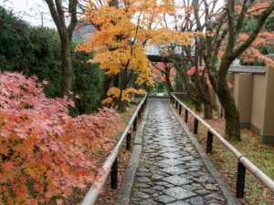 光悦寺